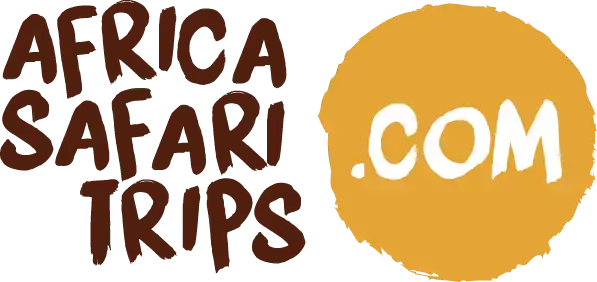 Africa Safari Tours