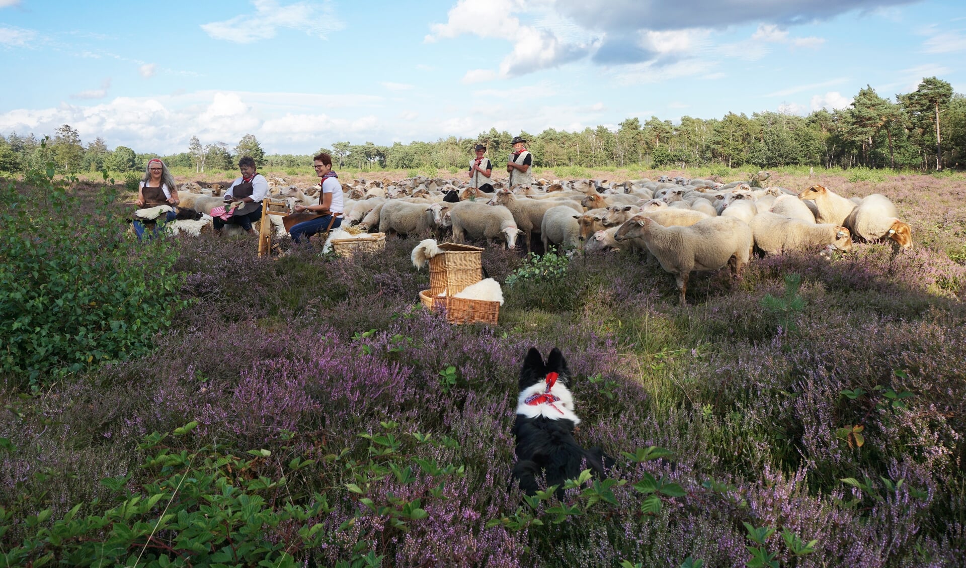 Boerenland Nabbegat — 8 km