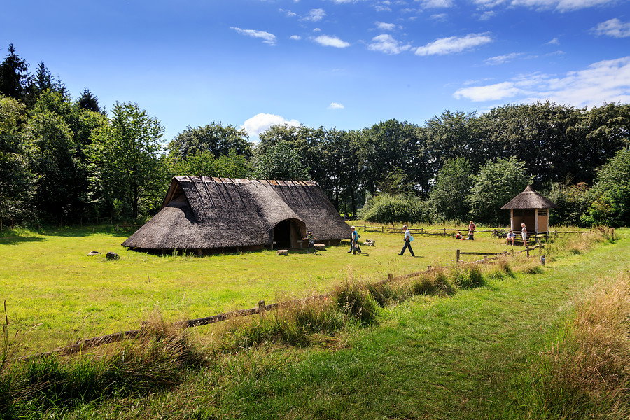 Celtic Fields