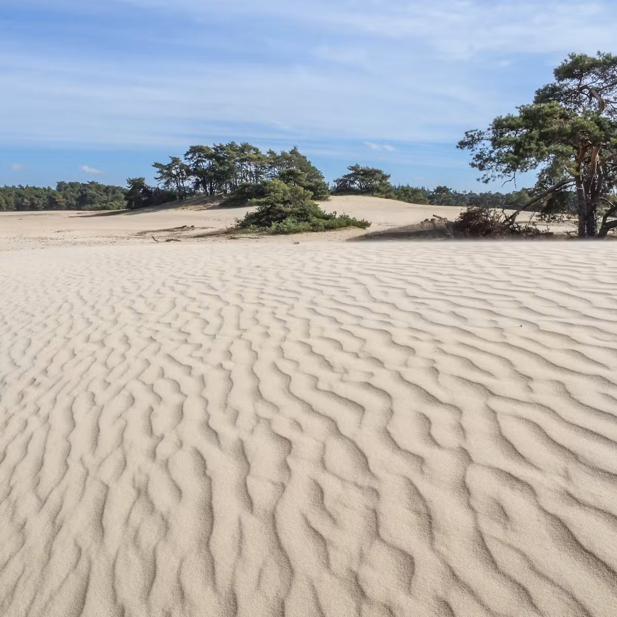 Wekeromse Zand